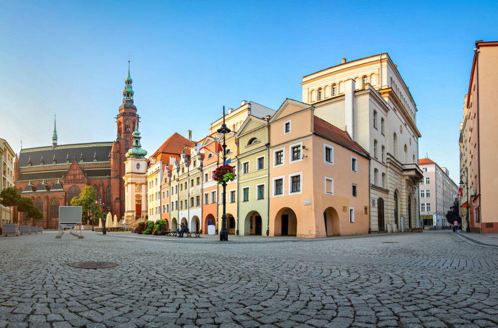 Usługi SEO Legnica