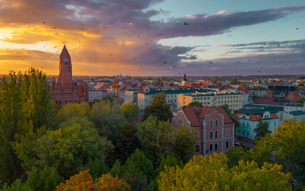 Reklama Google Ads Ostrów Wielkopolski