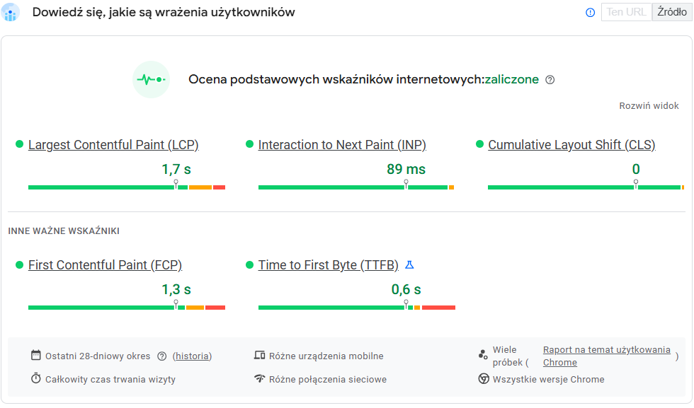 Wrażenia użytkowników - Page Speed Insights 