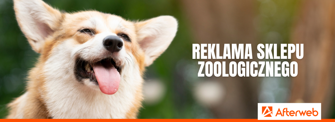 Reklama sklepu zoologicznego z Afterweb
