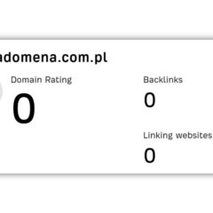 Jak wygląda pozycjonowanie domeny w Google