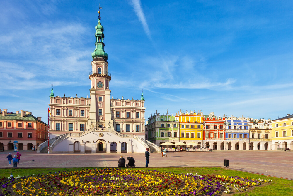 Pozycjonowanie sklepów Zamość